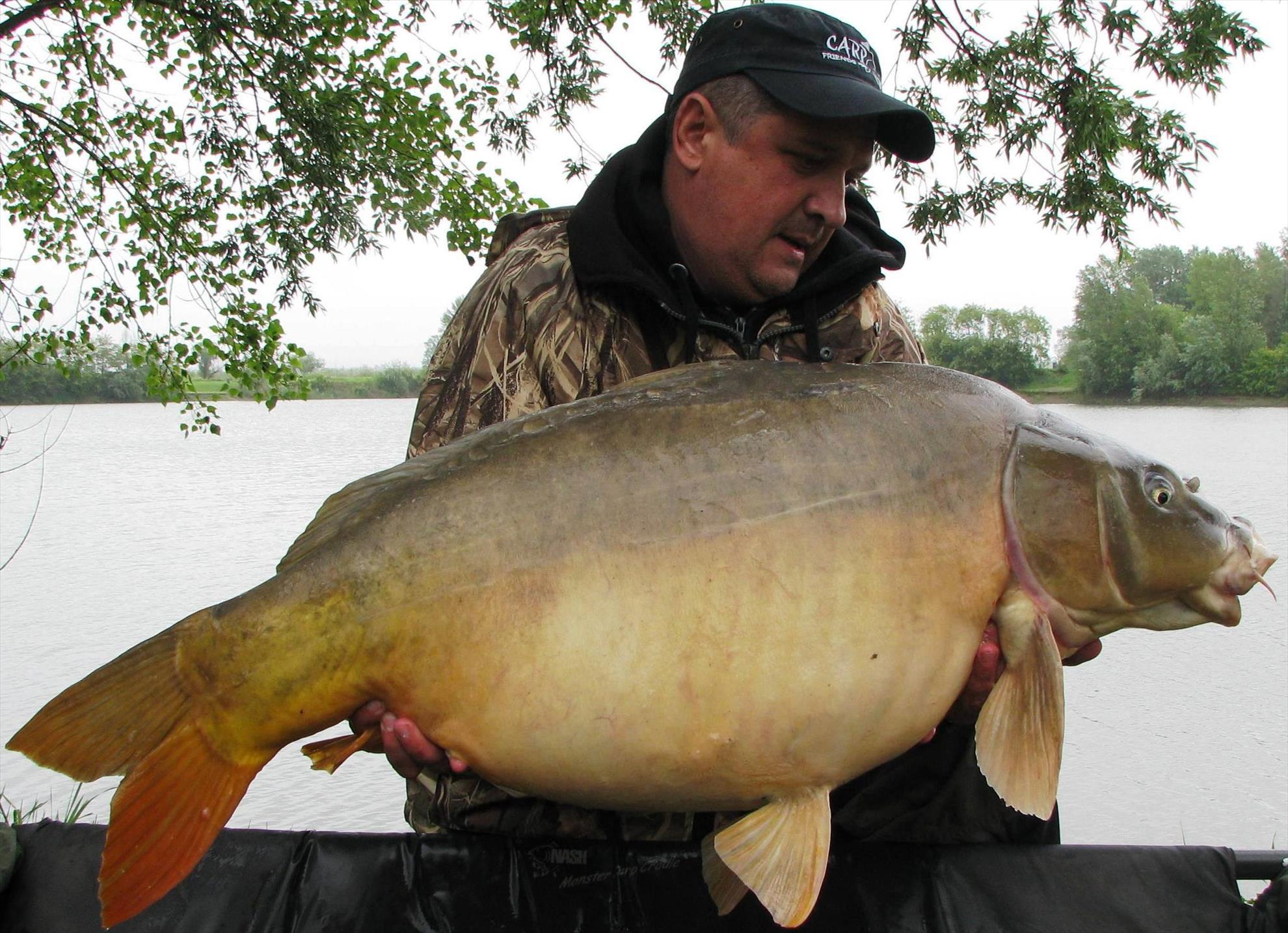 capturi over 20 kg in 2014 - 12 buc. - img1205.JPG